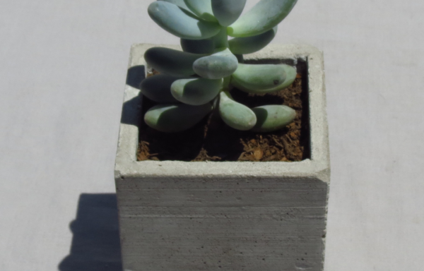 MACETA 10 CUBO