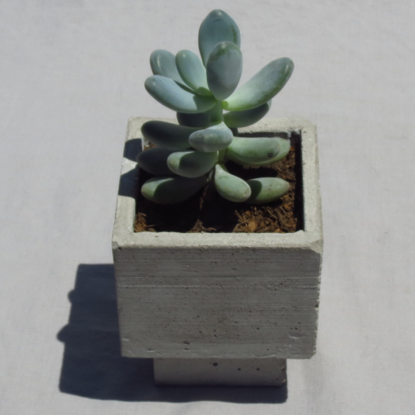 MACETA 10 CUBO